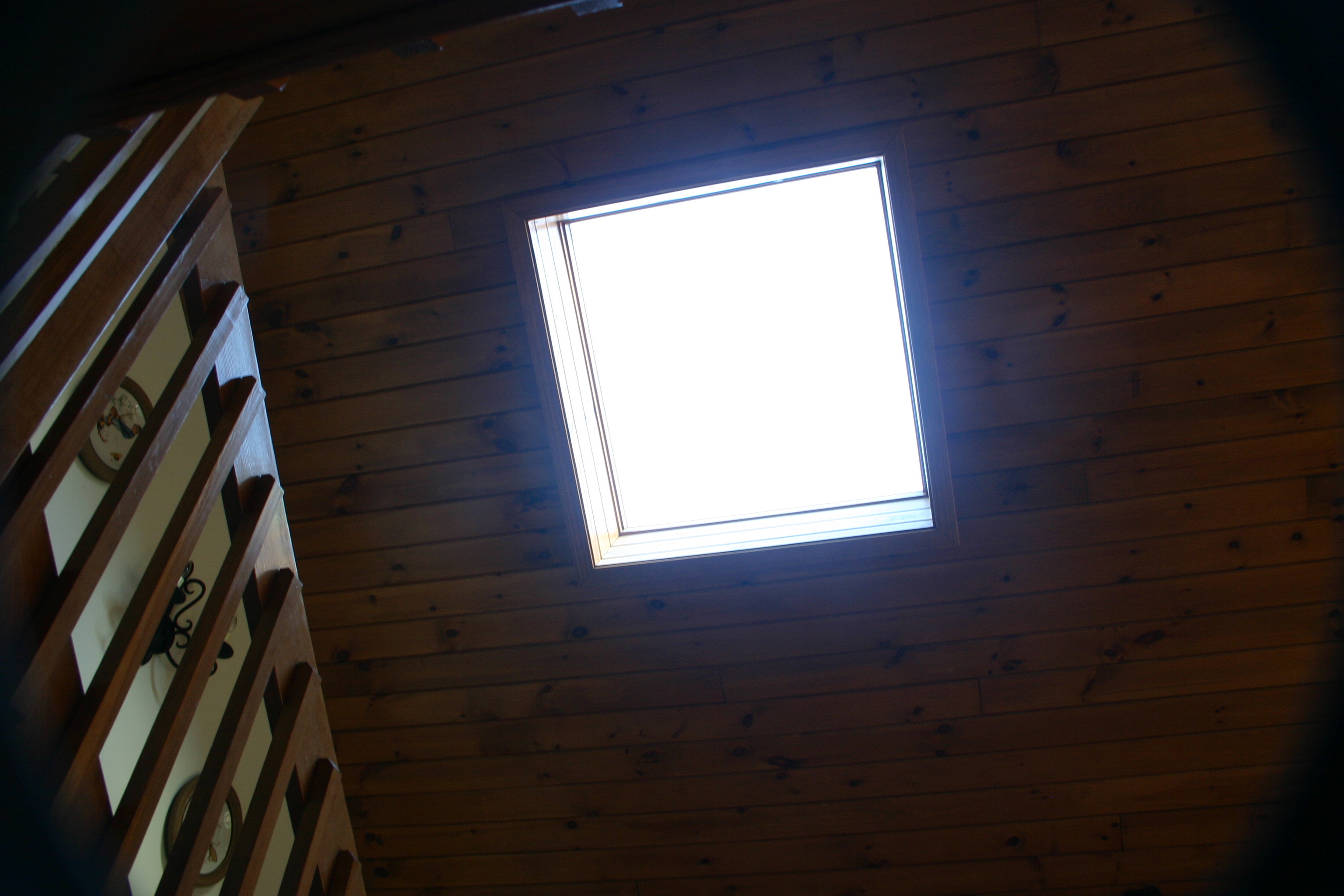 picture 1.